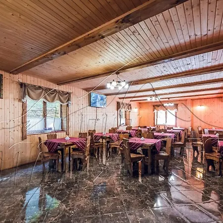 під магурою Hotel Pilipets