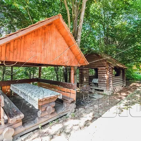 Ξενοδοχείο під магурою Pilipets